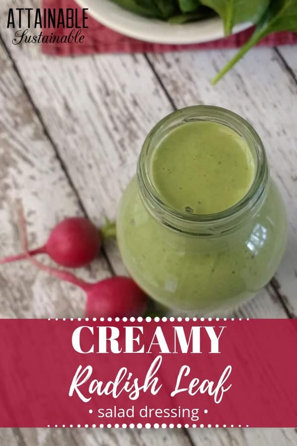 This healthy radish leaf salad dressing recipe features radish greens. Use it to top your favorite green salad or serve it as a dip with fresh veggies. 奶油绿色的沙拉酱在一个玻璃罐里,旁边放着两个萝卜