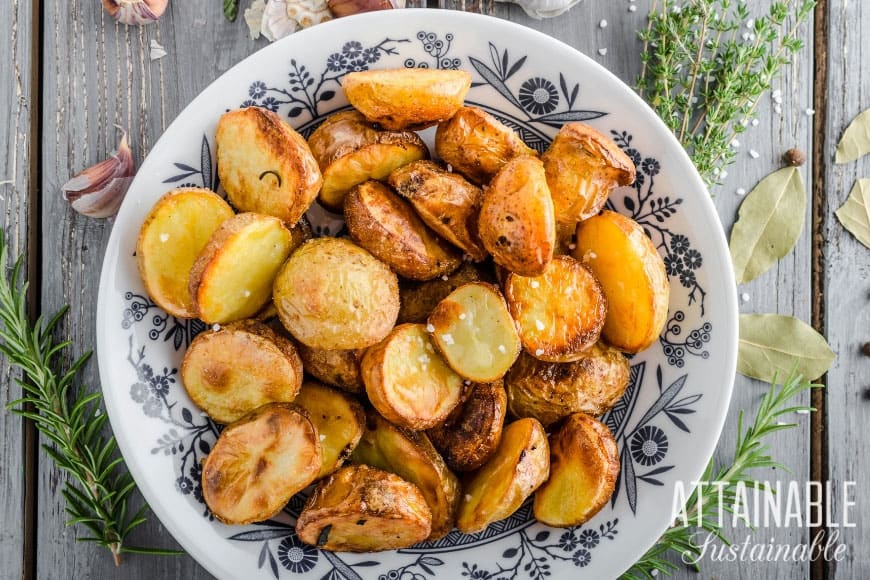 Eating healthy (on a budget!) takes a little bit of thought and some planning, but you can feed your family good food with some of these tips. 在白色和蓝色的板烤土豆 - 在预算饮食健康