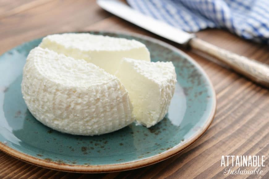Making ricotta cheese is easy! With only three ingredients, this recipe for homemade cheese is simple to tackle at home; an easy beginner homestead project. 在蓝色板自制意大利乳清干酪