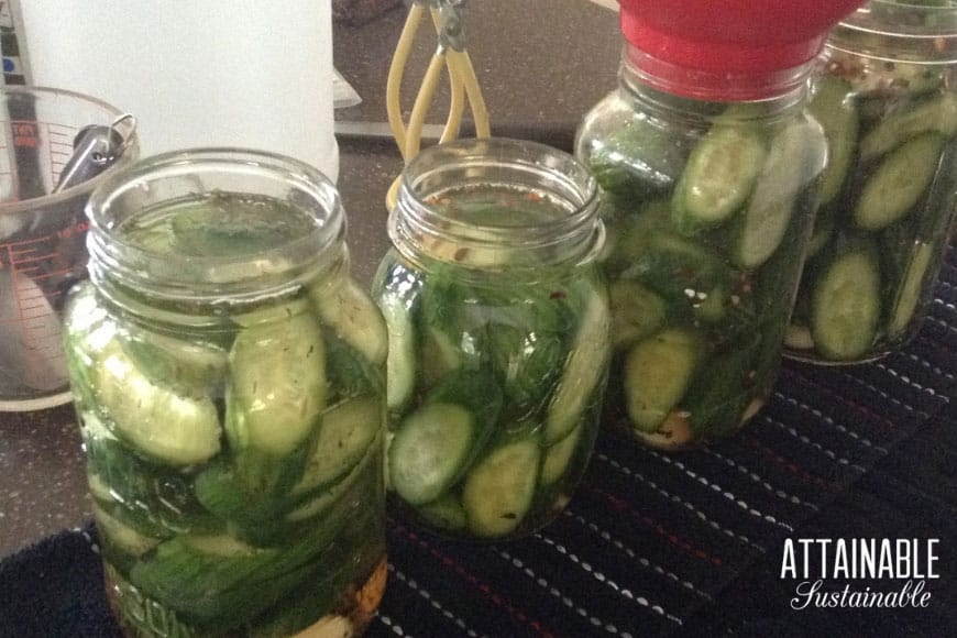 When canning homegrown produce, choose the best quality ingredients. Here's why your go-to brand might not be the best vinegar for pickling and canning. 在玻璃罐里装满酸洗用的醋