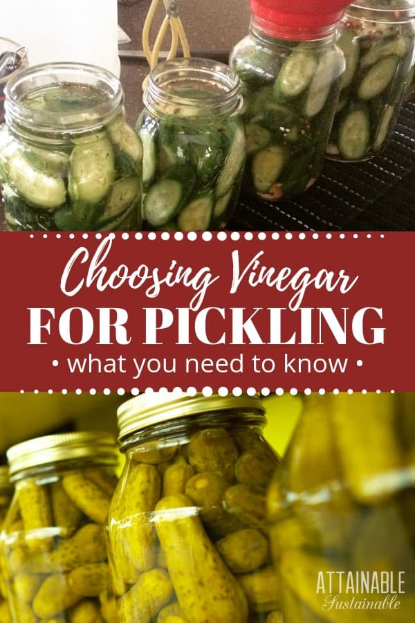 When canning homegrown produce, choose the best quality ingredients. Here's why your go-to brand might not be the best vinegar for pickling and canning. 在玻璃罐泡菜