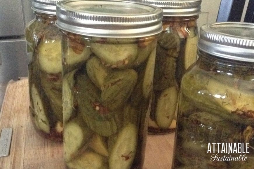 When canning homegrown produce, choose the best quality ingredients. Here's why your go-to brand might not be the best vinegar for pickling and canning. 玻璃罐里的泡菜罐头