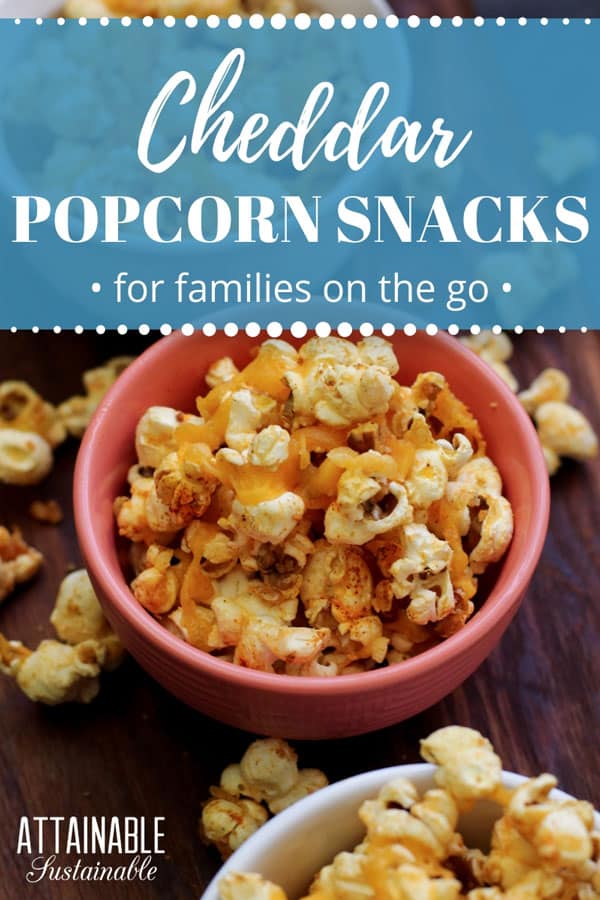 Need a healthy snack on the run? These smoky cheddar popcorn snacks are easy and inexpensive to make. Kids love them because, well, popcorn. And cheese. 在粉红色的一碗爆米花切达小吃