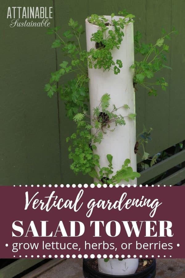 This PVC tower garden can help you get the most out of your limited space! Follow these simple plans for a thriving, vertical grow tower in urban gardens. 垂直塔花园白色pvc与香草和甘蓝