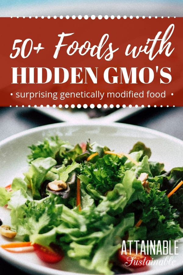 Do you know where GMO ingredients are hidden in your favorite products? Genetically engineered food is sneaky! Here's how to track them down in your diet. 在一个白色板绿色沙拉