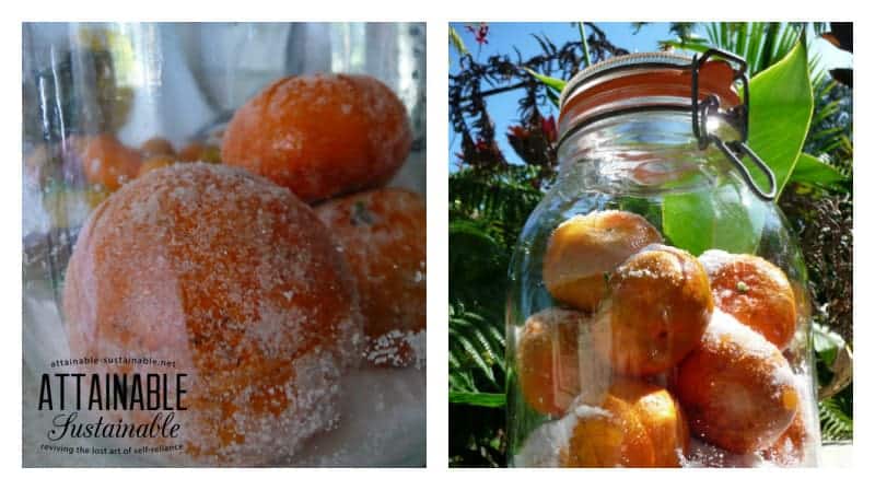 Preserved oranges, lemons, and tangerines, are great in marinades &salad dressings. Salted citrus an easy way to preserve citrus flavor for use in recipes. 在一个玻璃罐里,装满了腌制的橘子
