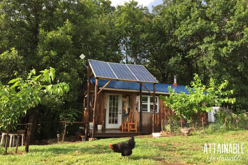 Tiny house living has its joys and challenges, just like any living situation. Our family feels great joy living in such a beautiful space. 有绿色草坪的小房子(和一只黑鸡)