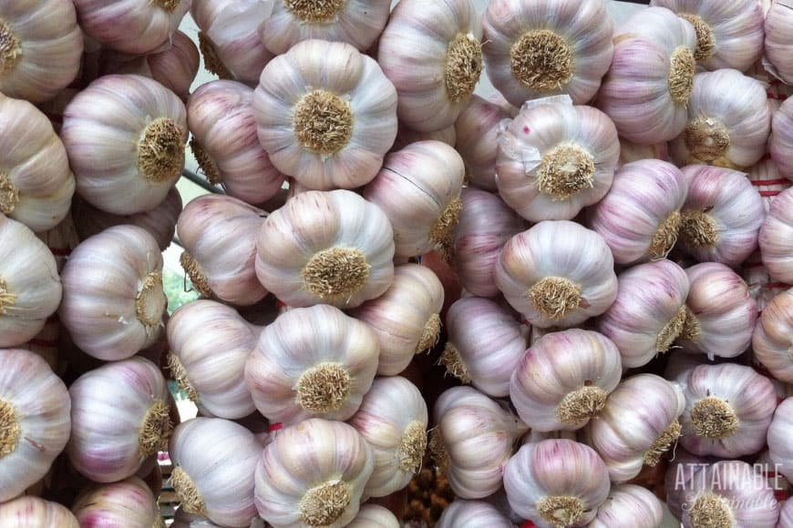 Many hands make light work. You'll get these DIY homestead projects done more quickly plus have some fun if you tackle them with a few of your friends. 蒜辫子,完美的DIY家园项目