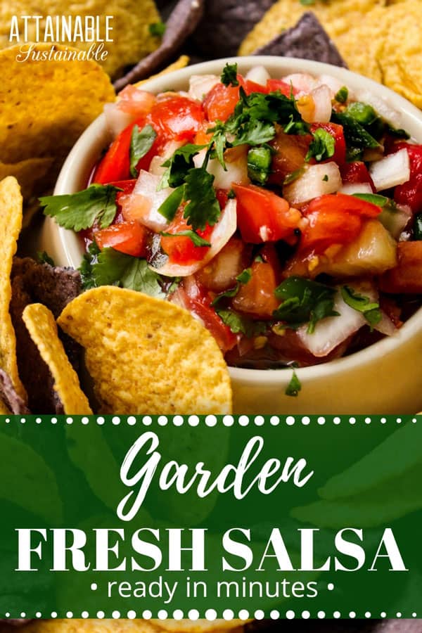 Memorize these five ingredients; you'll never have to measure salsa ingredients again. Nothing beats this garden fresh salsa recipe & it's EASY to make! 花园的新鲜莎莎食谱黄色碗圆黄玉米脆片