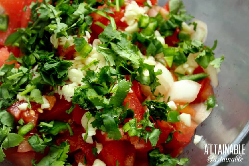Memorize these five ingredients; you'll never have to measure salsa ingredients again. Nothing beats this garden fresh salsa recipe & it's EASY to make! 切碎的西红柿,洋葱,香菜和在一个碗里
