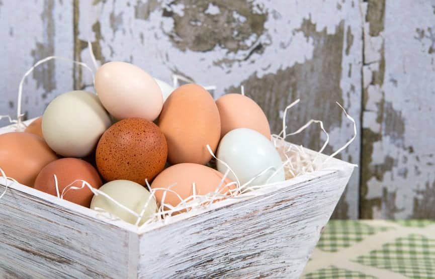 Supplemental lighting for chickens can alter Mother Nature's wintertime plans; you'll just need to decide if that's something you want to do or not. 不同的颜色,新鲜,鸡蛋在一个木制容器,乡村风格的厨房背景拼盘