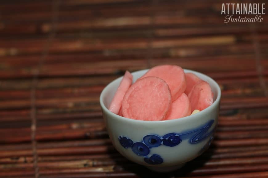 If you've never thought about preserving radishes from the garden, this recipe for lacto fermented radishes with turnips might change your mind. 粉红色的发酵萝卜在一个白色的碗与蓝色的模式