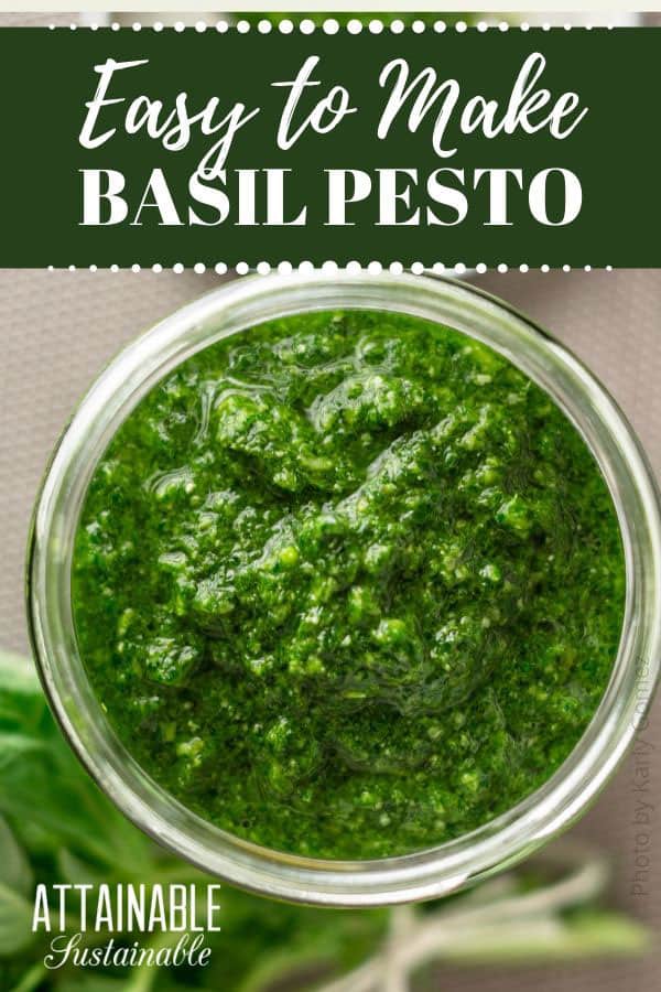 Homemade pesto is -- bar none -- the best way to use and preserve that summertime flavor. Learn how to make pesto wit these 3 different recipes. 罗勒香蒜沙司从上往下放在一个玻璃瓶里