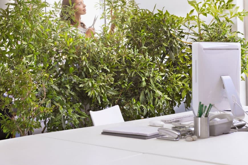 There are some simple steps you can take to transform your home office into a more environmentally friendly office space. Check out these green office tips! 白色办公桌计算中背景绿色植物的银行