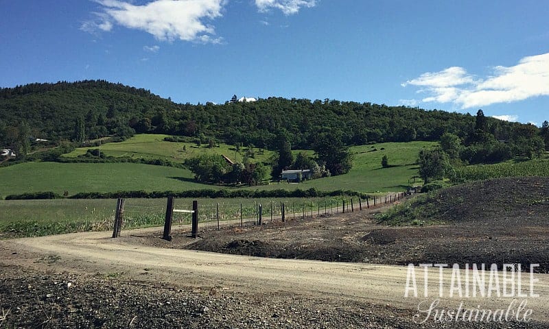 Dreaming of homesteading? Find out how to go about buying and starting a homestead on a budget! Make your simple living dream come true! 漂亮的绿色的山坡上有污垢车道上坡领先