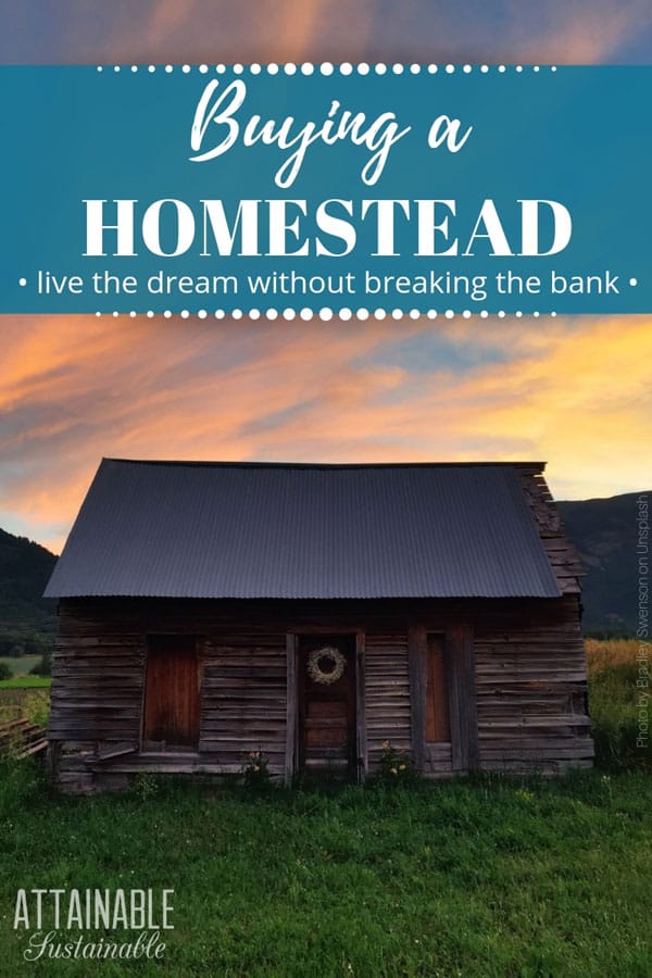 Dreaming of homesteading? Find out how to go about buying and starting a homestead on a budget! Make your simple living dream come true! 木屋组对一个粉红色和黄色的天空