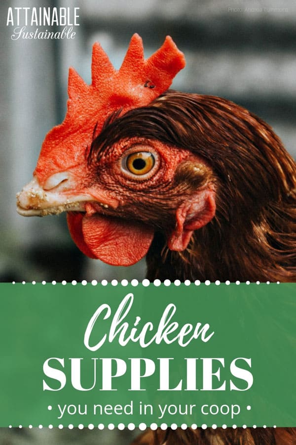 When it comes to chicken supplies, this is the gear and equipment you'll be happy to have in your coop at the moment when you need it. Keep these on hand! 棕色鸡肉的结束语:你在鸡舍里需要的鸡肉供应