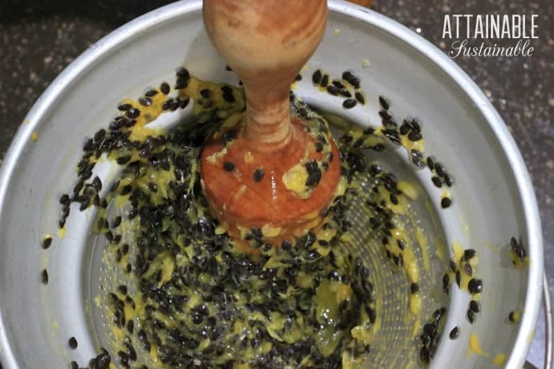 Looking for an easy way to make passion fruit juice? After years of trying different methods, I've found this to be the easiest way to juice passion fruit 通过CHINOIS使劲西番莲果汁,从上方示出了黑色种子和木杵查看