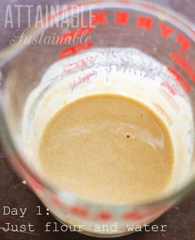 An easy sourdough starter without yeast to start your sourdough baking! All you need is some flour & water to get going with this sourdough starter recipe. 与红色刻字的玻璃量杯酵母起动机