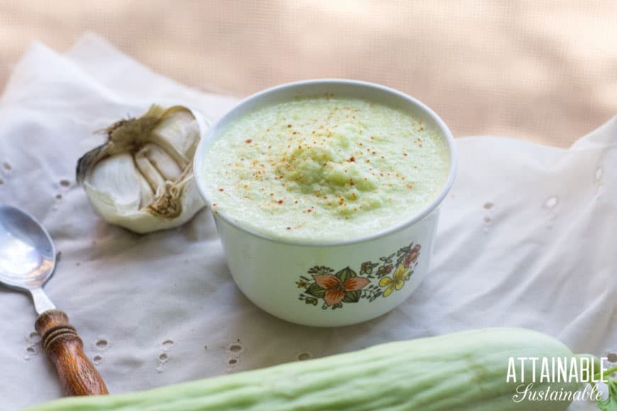 Make the most of garden fresh cucumbers - blend them up with fresh garlic to make a flavorful picante style cucumber salsa to add flavor to a meal. 黄瓜沙司在一个白色的碗里