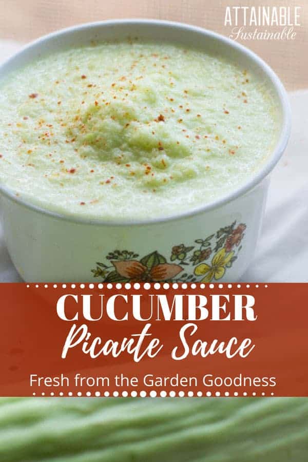 Make the most of garden fresh cucumbers - blend them up with fresh garlic to make a flavorful picante style cucumber salsa to add flavor to a meal. 浅绿色的picante酱汁,盛在白色的碗里。