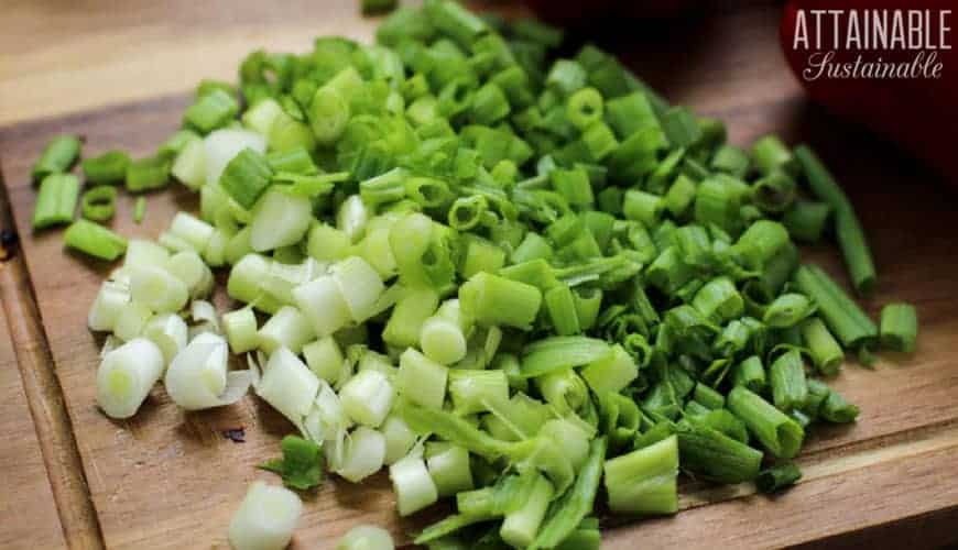Made from fresh ingredients, this green onion dip recipe is healthier stand in than instant flavor packets. Serve with fresh veggies or your favorite chip! 在木制砧板上切碎的大葱