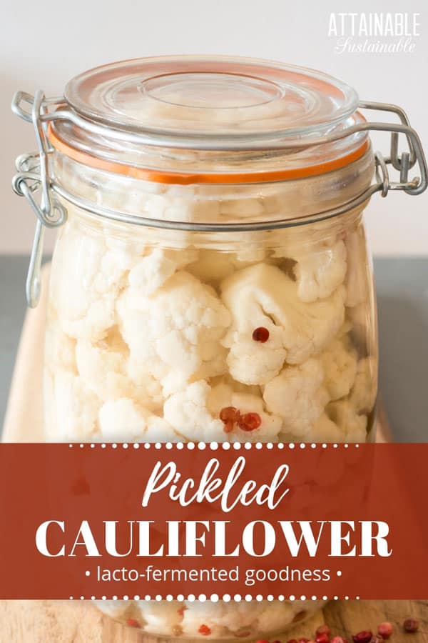This lacto-fermented cauliflower recipe results in tasty, crunchy florets packed with probiotics. It's a new fave for this pickled cauliflower lover! lacto-fermented菜花