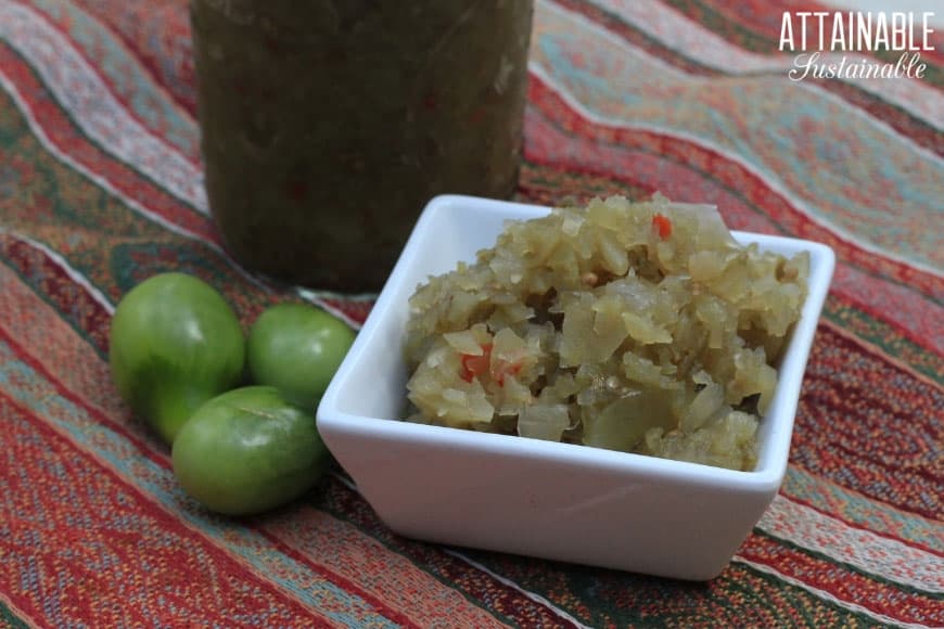 绿色蕃茄津津乐酒 - 咸味咸食谱 - 在一个方形的白色盘在红色镶边背景