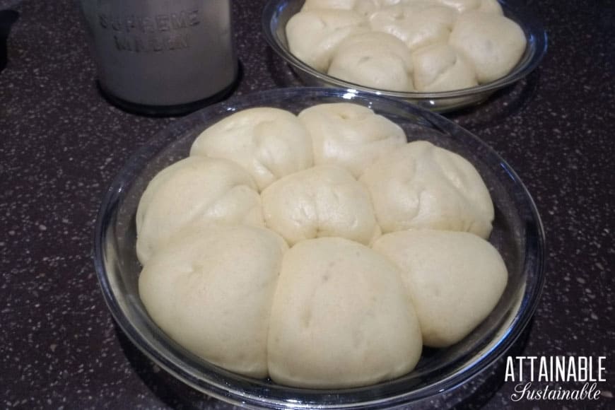 上升的葡萄牙甜面包卷