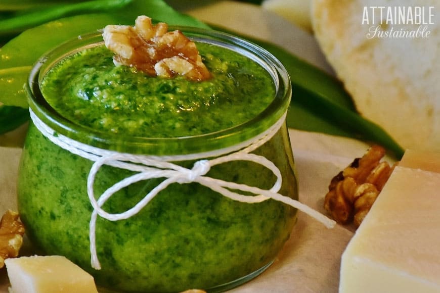 在玻璃瓶子的绿色pesto