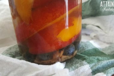 罐装油桃的特写。