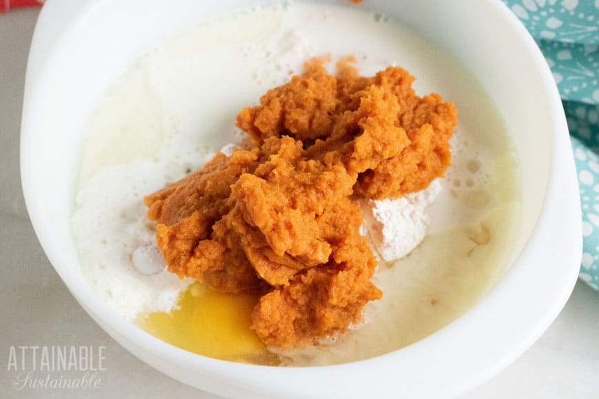 ingredients for easy pumpkin pancakes in a white bowl